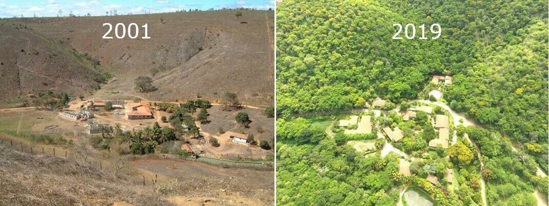fasdapsicanalise.com.br - Fotógrafo e Esposa plantaram juntos 2 Milhões De Árvores em 20 Anos e recuperaram uma floresta destruída